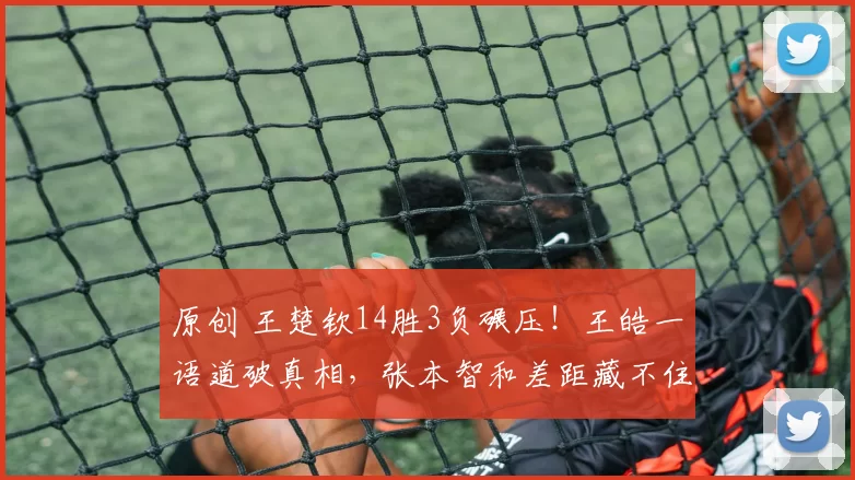 原创 王楚钦14胜3负碾压!王皓一语道破真相,张本智和差距藏不住