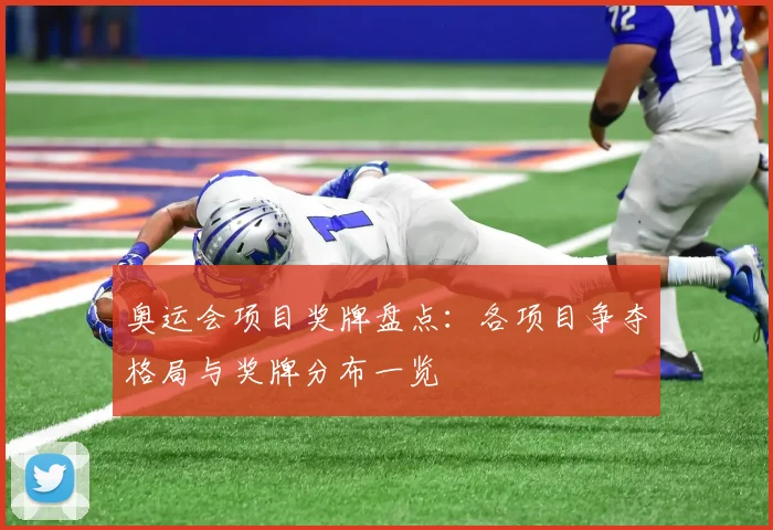 奥运会项目奖牌盘点：各项目争夺格局与奖牌分布一览