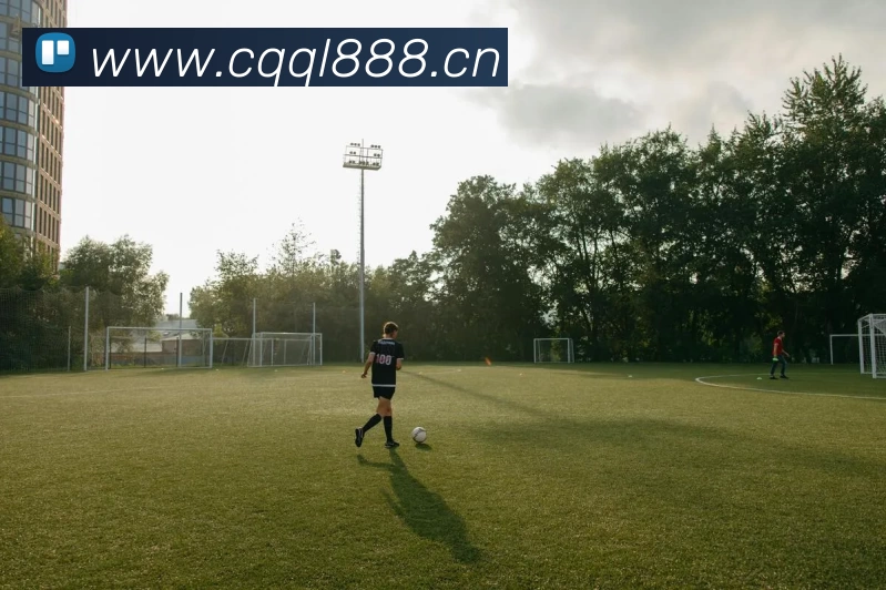 世界杯预选赛直播免费观看网站服务体系